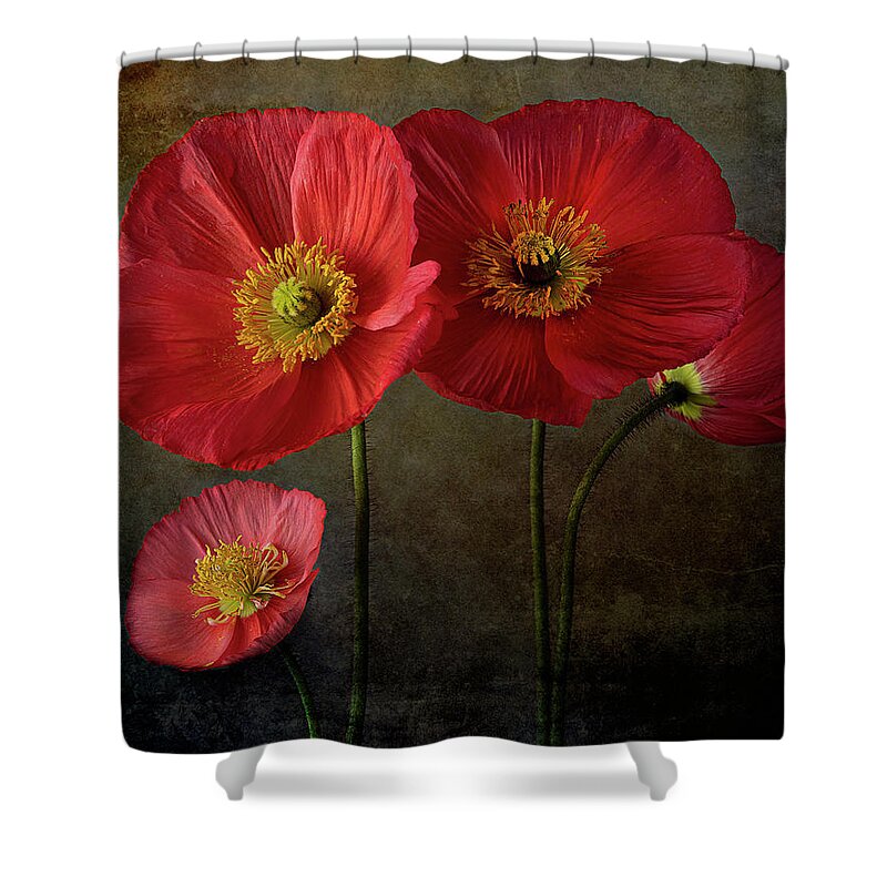 Poppy Flowers Shower Curtain featuring the photograph Poppy Flowers - Happy Family by Lily Malor