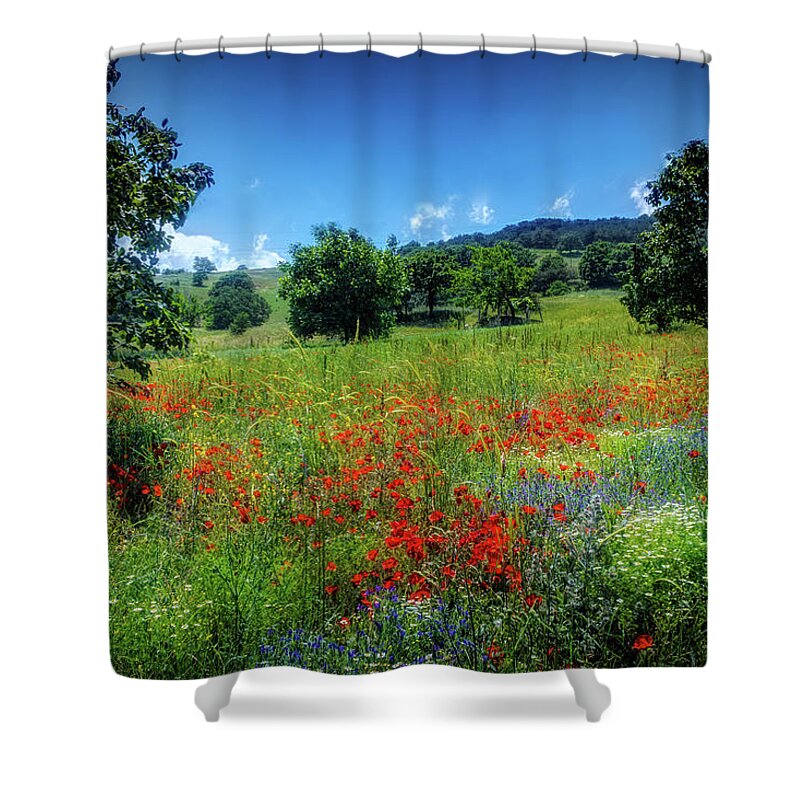 Summer Poppy Meadow Shower Curtain featuring the photograph Poppy meadow by Lilia S