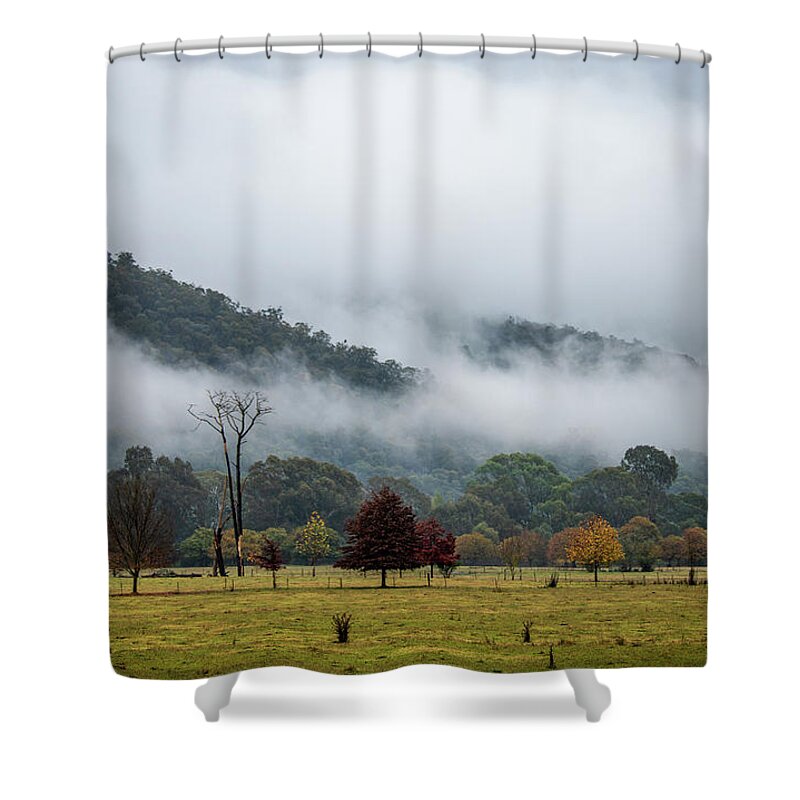 Fog Shower Curtain featuring the photograph Porpunkah Fog by Vicki Walsh