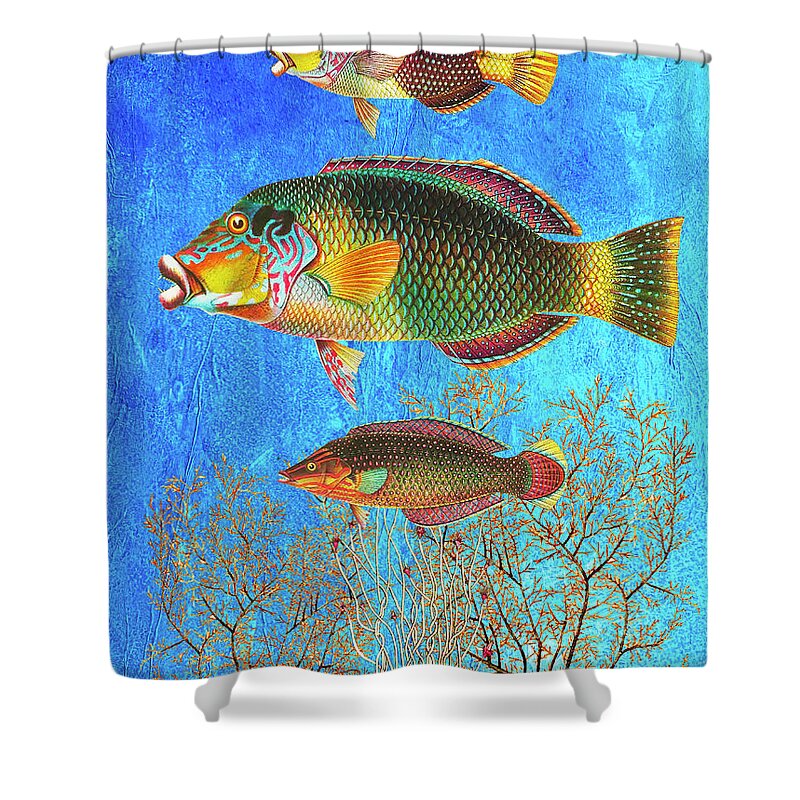 Tropical Fish Shower Curtain featuring the mixed media Portrait of Three Fish by Lorena Cassady