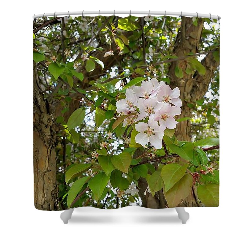 Blossoms Shower Curtain featuring the photograph Pretty Cluster by Amanda R Wright