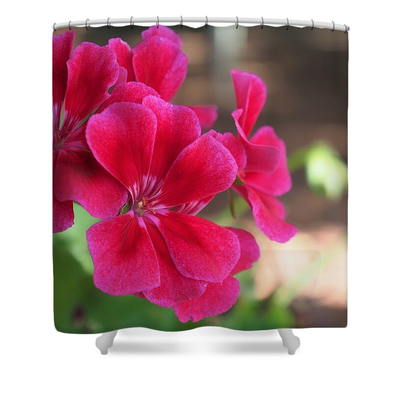 Red Shower Curtain featuring the photograph Pretty Flower 5 by C Winslow Shafer