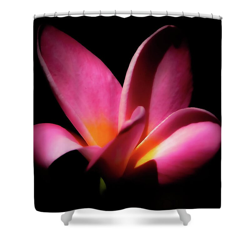 Flower Shower Curtain featuring the photograph Pretty In Pink by Gena Herro