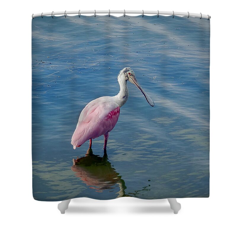 Spoonbill Shower Curtain featuring the photograph Pretty in Pink by Laura Putman