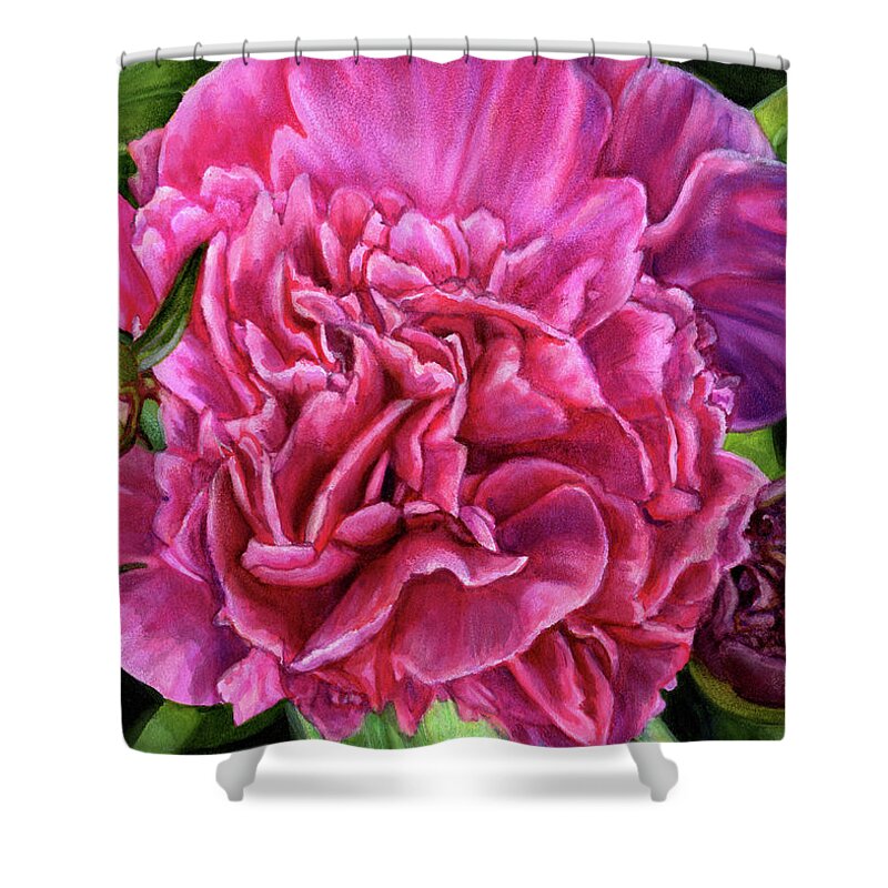 Peony Shower Curtain featuring the drawing Pretty Pink Peonies by Shana Rowe Jackson
