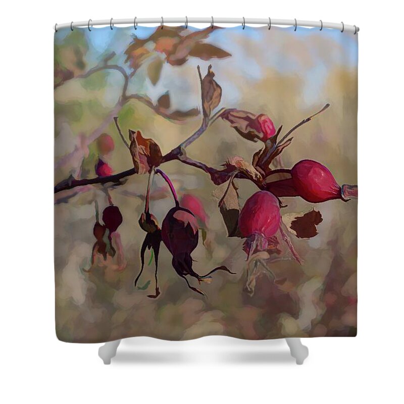  Shower Curtain featuring the photograph Prickly Rose Hips by Cathy Mahnke