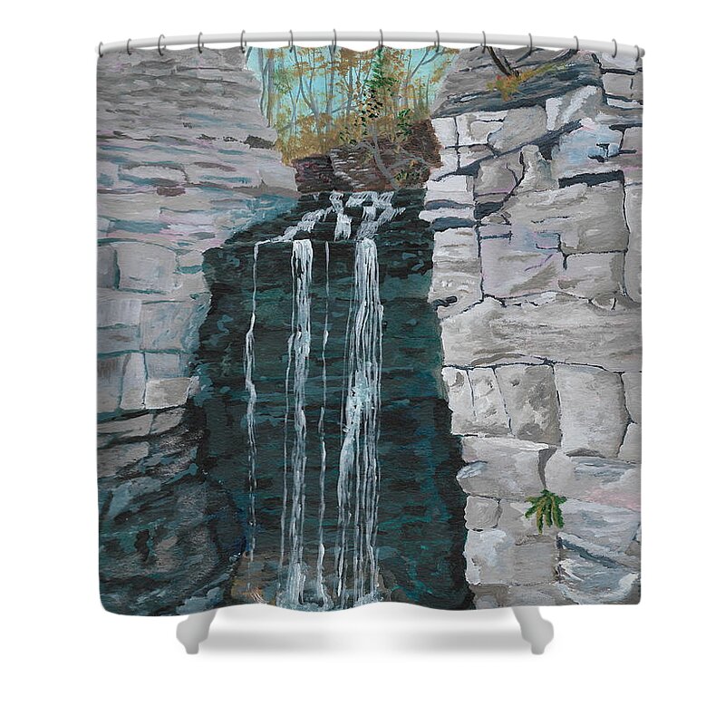 Nature Shower Curtain featuring the painting Princess Falls by David Bigelow