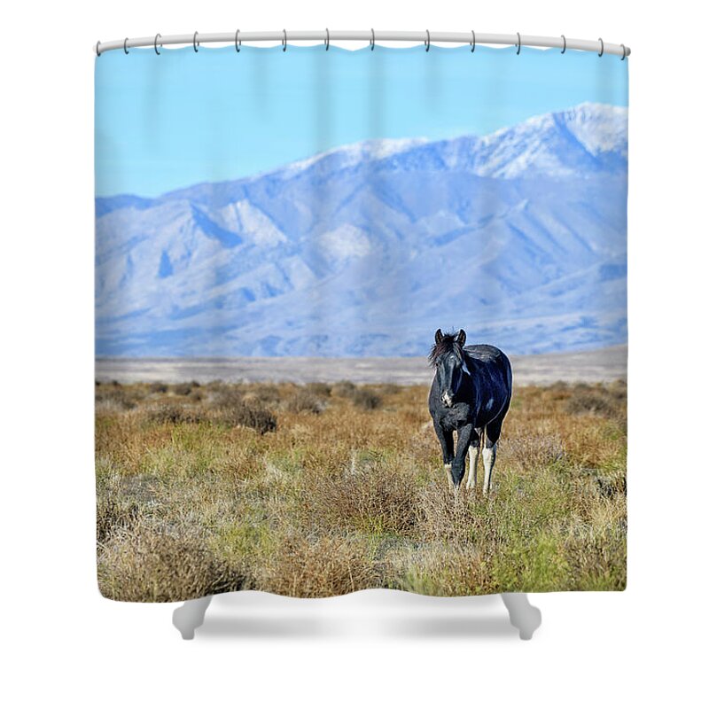 Horse Shower Curtain featuring the photograph Princess Valentina by Fon Denton