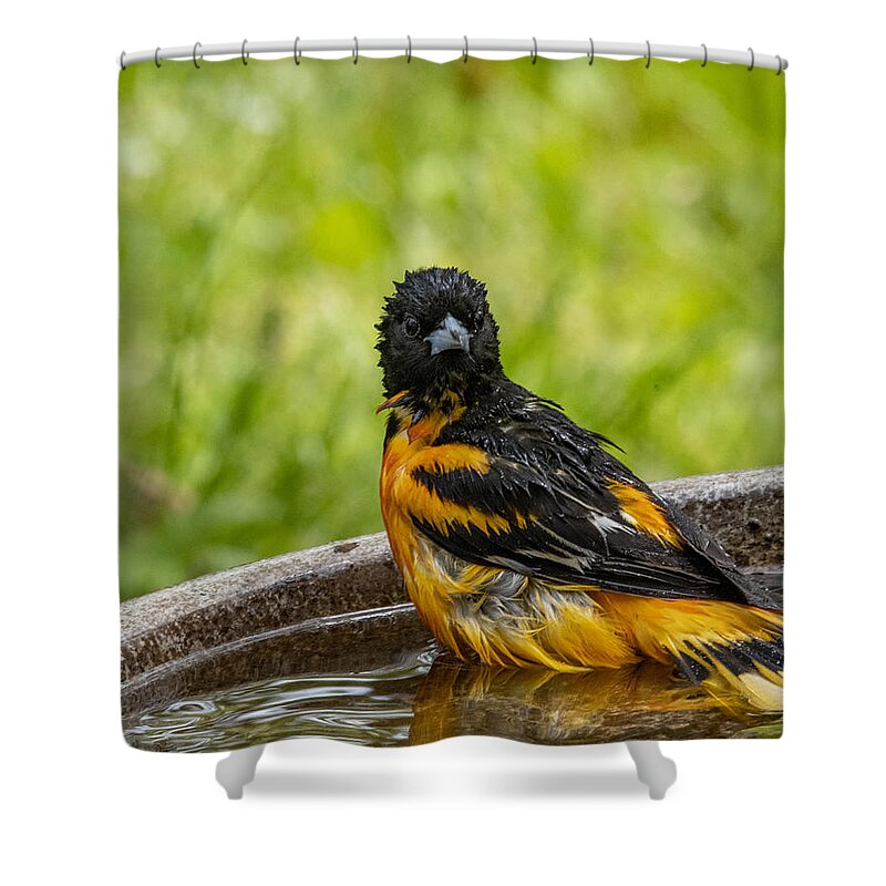 Bird Shower Curtain featuring the photograph Privacy Please by Cathy Kovarik