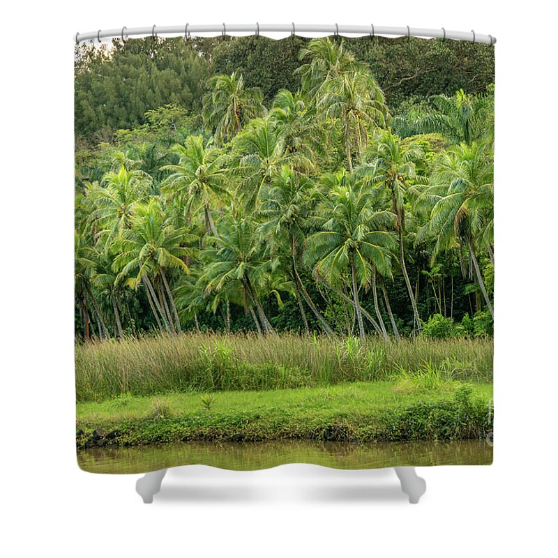 Hawaii Shower Curtain featuring the photograph Private Palm Tree Garden by Nancy Gleason