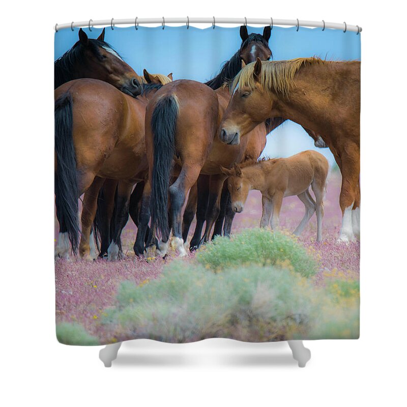 Foal Shower Curtain featuring the photograph Protect the Baby by Steph Gabler