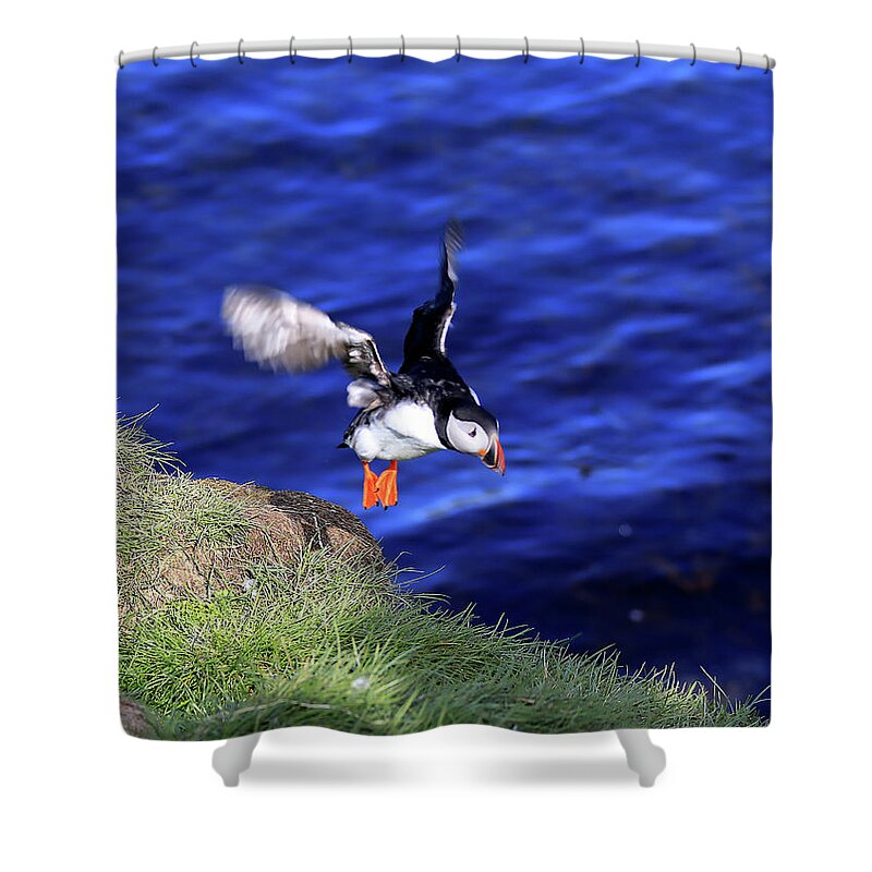 Puffin Shower Curtain featuring the photograph Puffin 1 - Northeast Iceland by Richard Krebs