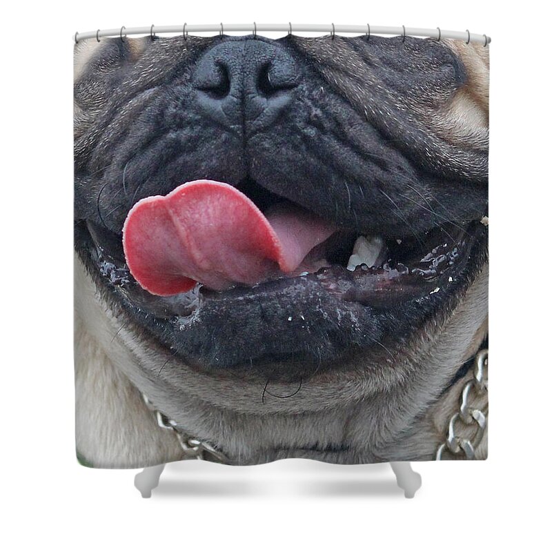 Pug Shower Curtain featuring the painting Pug Mask 4 by Nadi Spencer