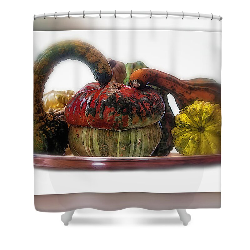 Pumpkins Shower Curtain featuring the photograph Pumpkins 2019 by Wolfgang Stocker