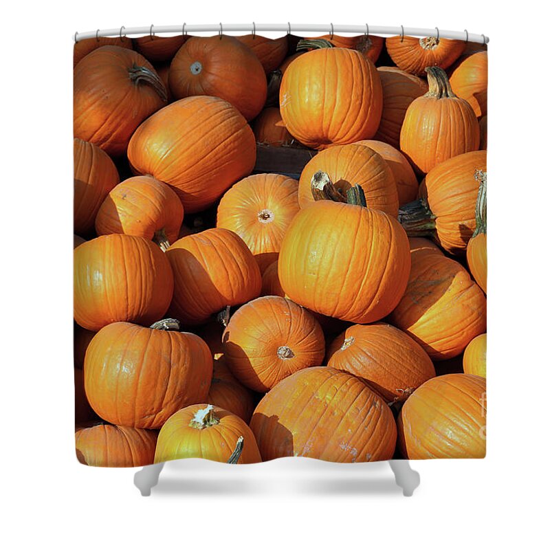 Pumpkin Shower Curtain featuring the photograph Pumpkins by Vivian Krug Cotton