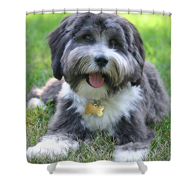 Dog Shower Curtain featuring the photograph Puppy Love by Patty Colabuono