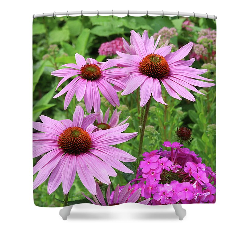 Phlox Shower Curtain featuring the photograph Purple Coneflowers with Pholx by Steve Augustin