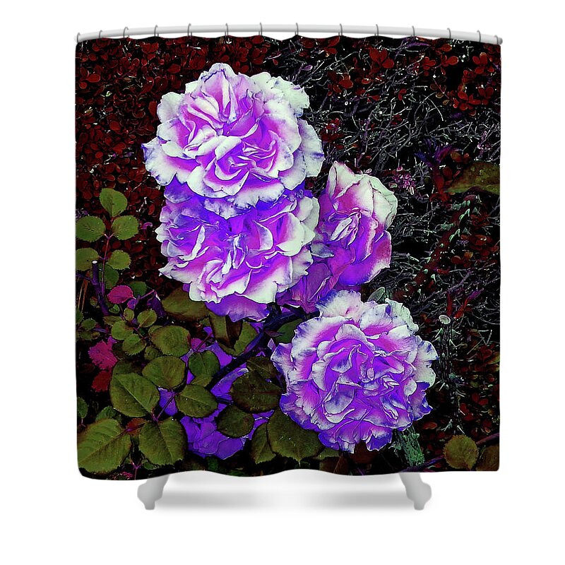 Flower Shower Curtain featuring the photograph Purple Down Shot by Andrew Lawrence