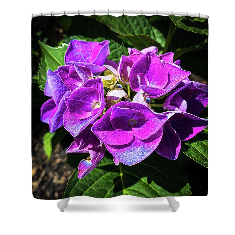 Floral Shower Curtain featuring the photograph Purple flowers by Jim Feldman