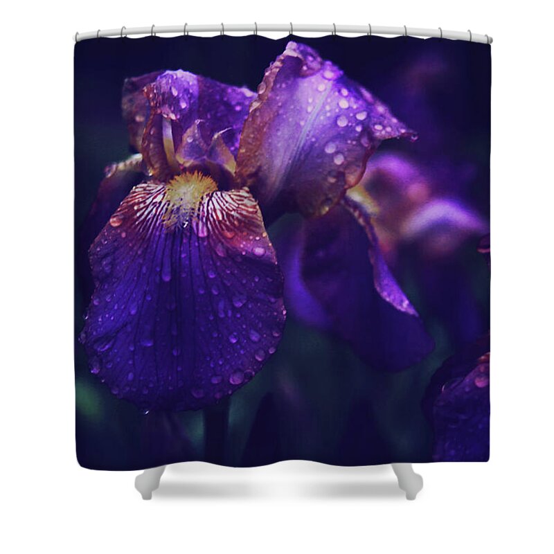 Iris Shower Curtain featuring the photograph Purple Iris in the Rain by Toni Hopper