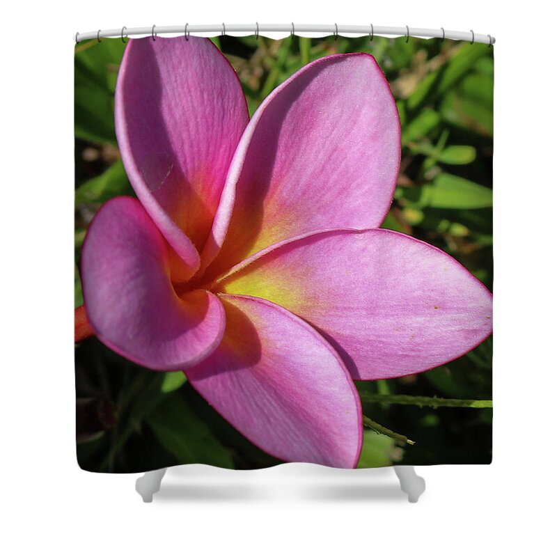 Flowers Shower Curtain featuring the pyrography Purple Plumeria by Tony Spencer
