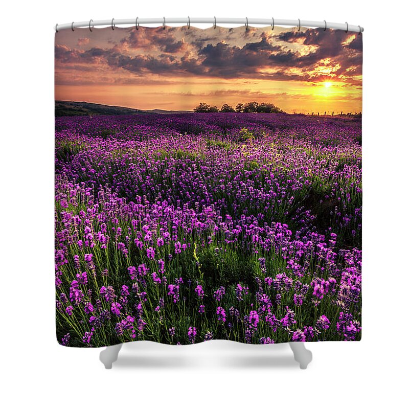 Bulgaria Shower Curtain featuring the photograph Purple Sea by Evgeni Dinev