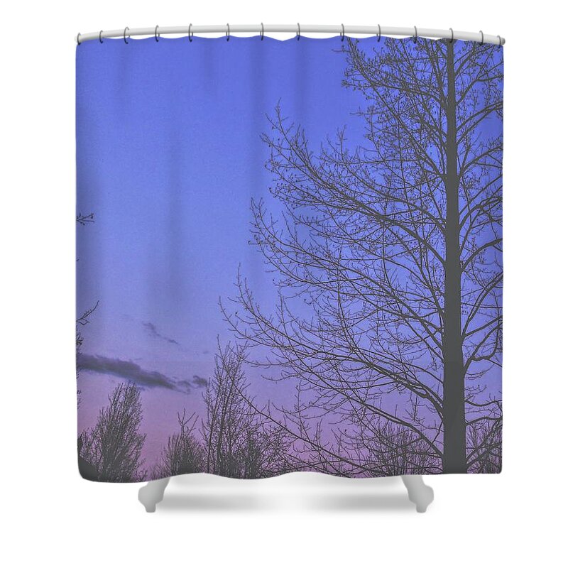 Trees Shower Curtain featuring the photograph Purple Twilight by Lisa Pearlman
