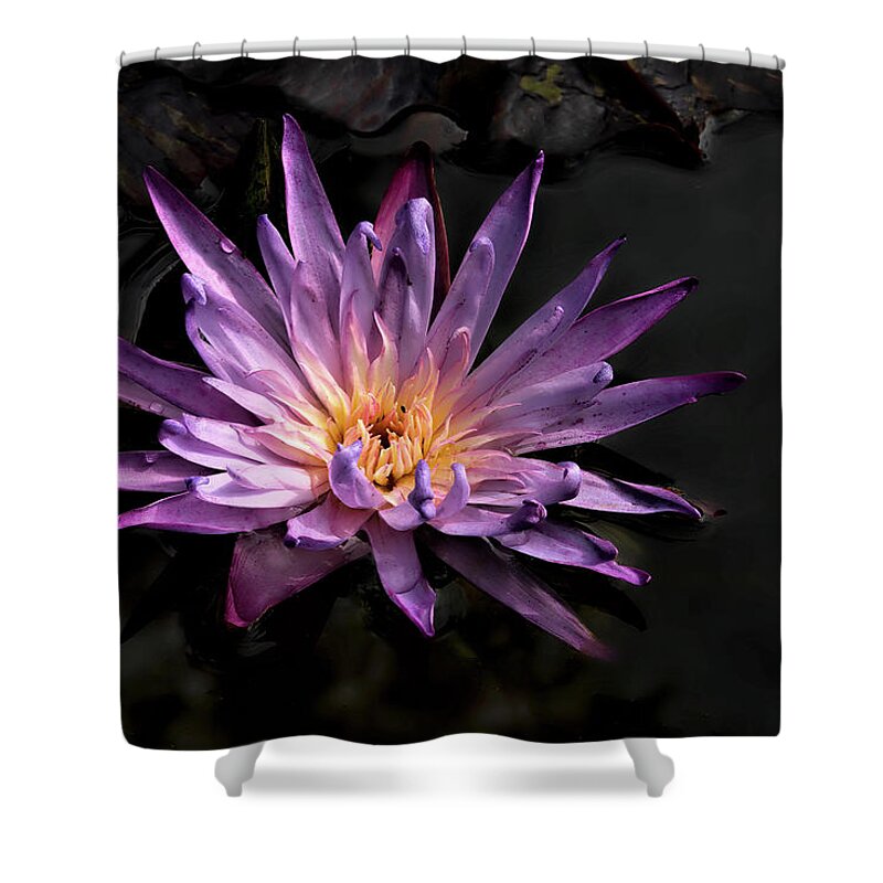 Flowers Shower Curtain featuring the photograph Purple Waterlily by Minnie Gallman
