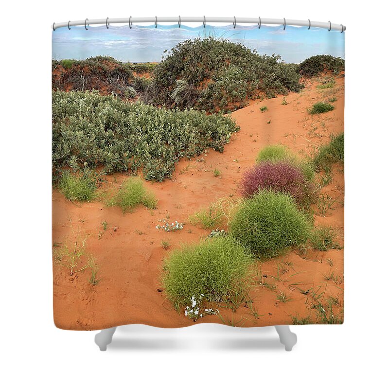 Richard Porter Shower Curtain featuring the photograph Purples and Whites, Maljamar, New Mexico by Richard Porter