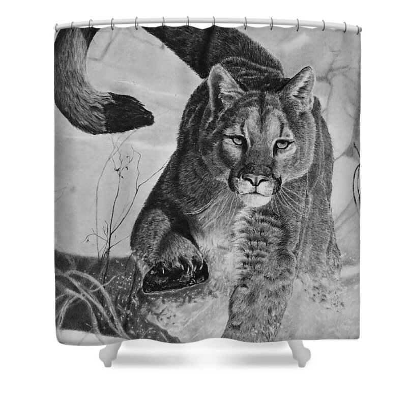 Mountain Lion Shower Curtain featuring the drawing Pursuit by Greg Fox