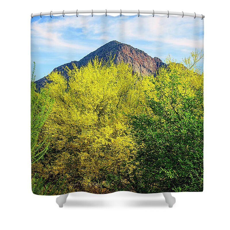 Arizona Shower Curtain featuring the photograph Pusch Peak Spring 25093 by Mark Myhaver
