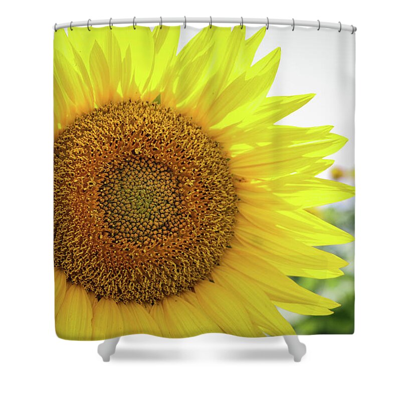2017 Shower Curtain featuring the photograph Put a little sunshine in your life by Gerri Bigler