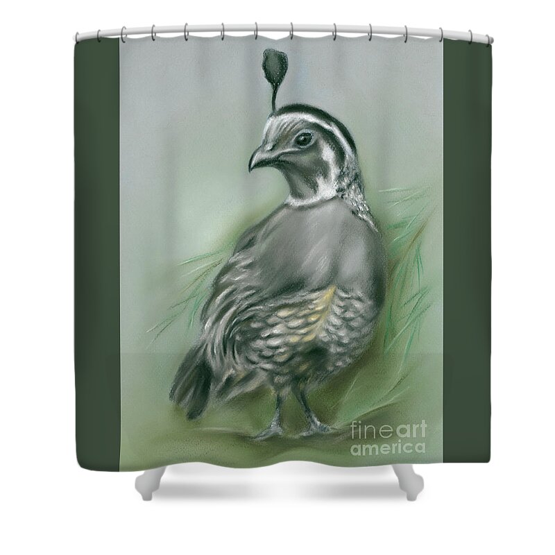 Bird Shower Curtain featuring the painting Quail and Pine by MM Anderson