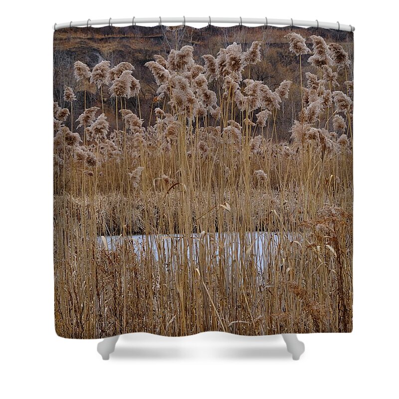 Nature Shower Curtain featuring the photograph Quarry Whisps And Pond by Kreddible Trout