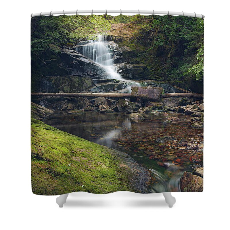 Waterfall Shower Curtain featuring the photograph Quiet Falls 2 by Michael Rauwolf