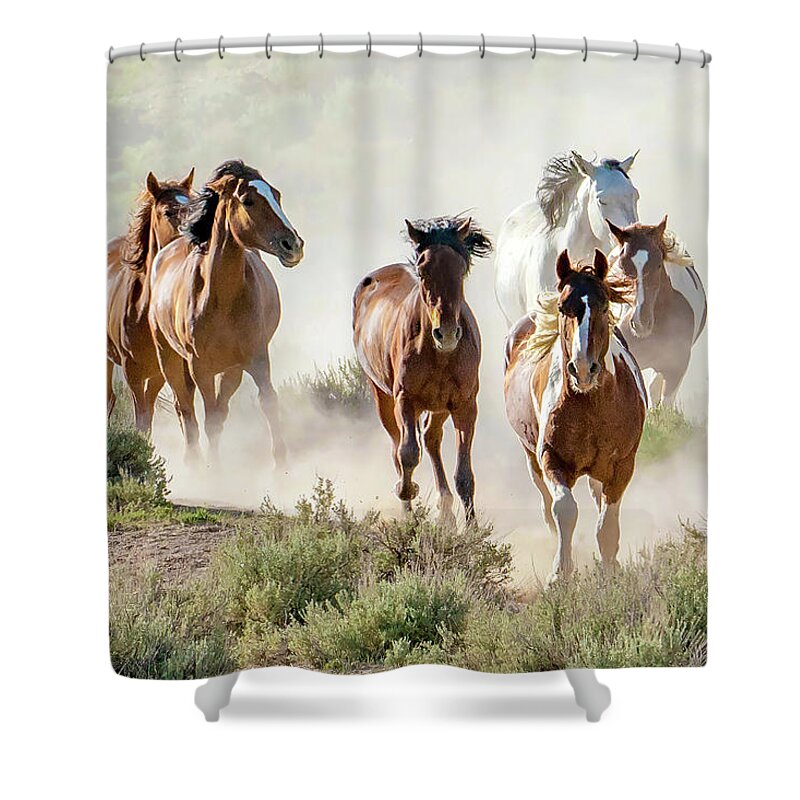 Horses Shower Curtain featuring the photograph Racing to the Water Hole by Judi Dressler