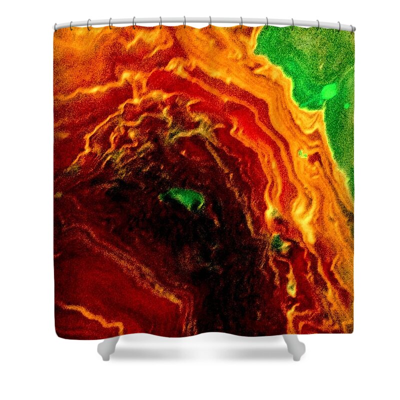 Fire Shower Curtain featuring the painting Raging Inferno by Anna Adams