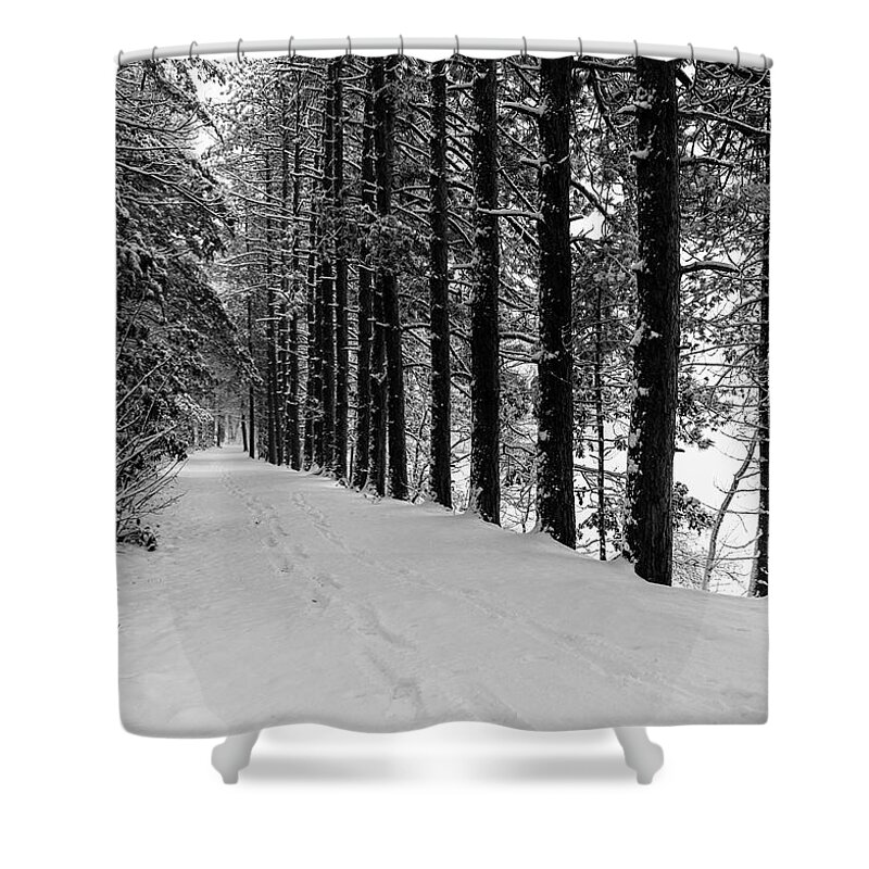 Snow Shower Curtain featuring the photograph Rail Path in Winter by David Lee