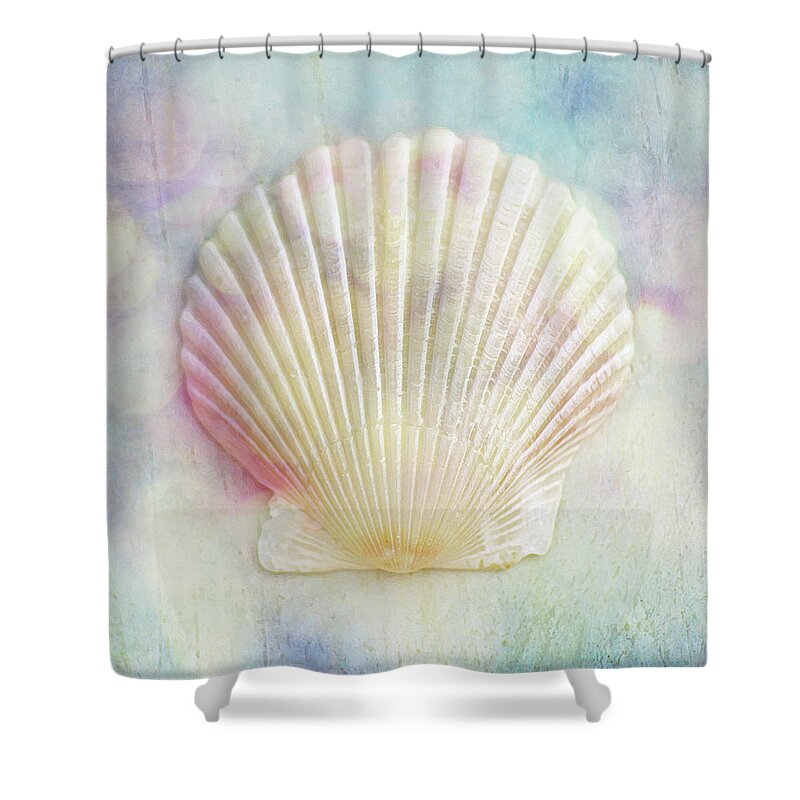 Rainbow Scallop Seashell Shower Curtain by Kathi Mirto - Pixels