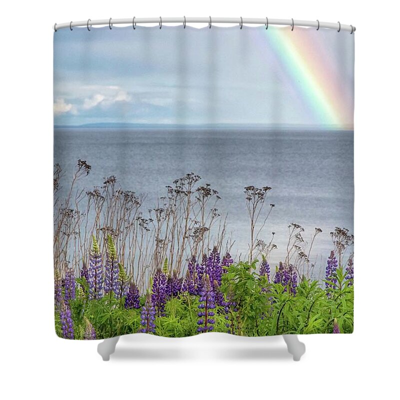 Lupine Shower Curtain featuring the photograph Rainbows and Lupine by Mary Amerman