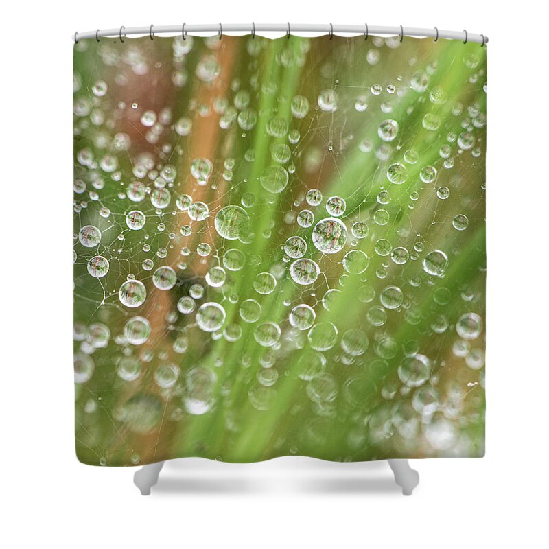 Rain Shower Curtain featuring the photograph Raindrops On A Web Net by Karen Rispin