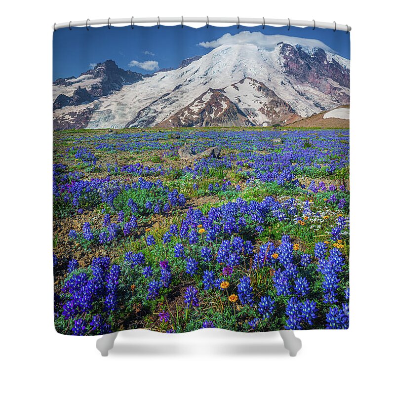 America Shower Curtain featuring the photograph Rainier Lupines by Inge Johnsson