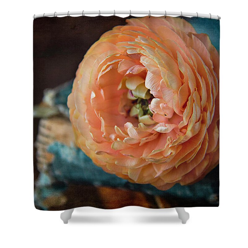 Ranunculus Shower Curtain featuring the photograph Ranunculus and Vintage Blue Book by Cindi Ressler