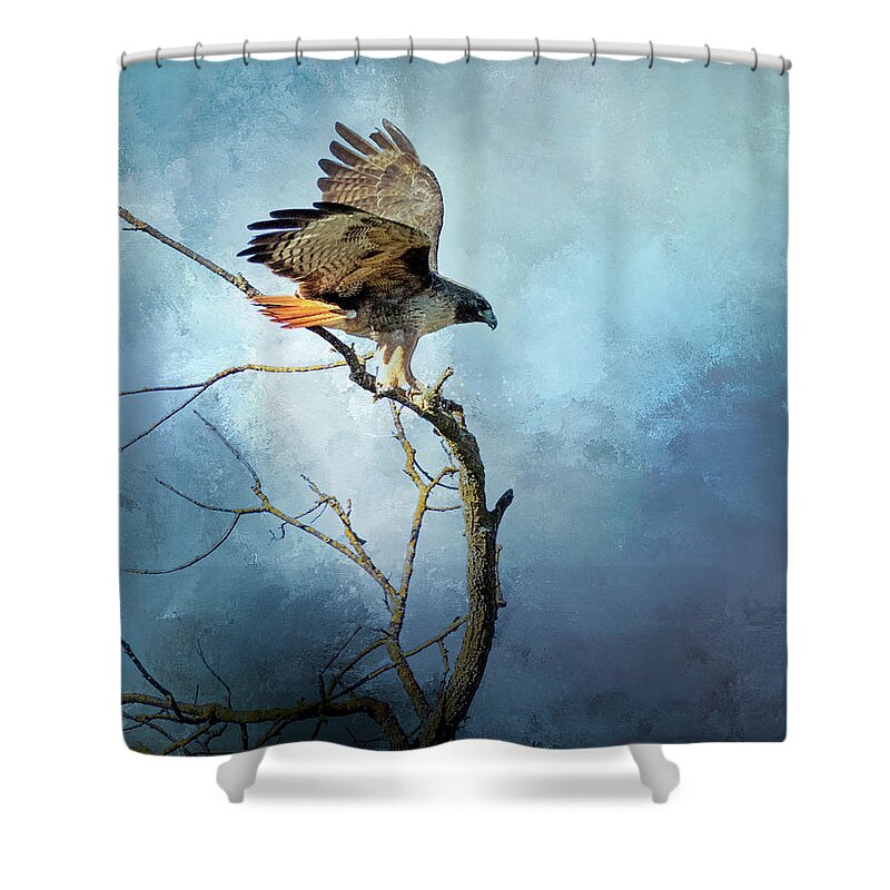 Hawk Shower Curtain featuring the digital art Rapt Attention by Nicole Wilde