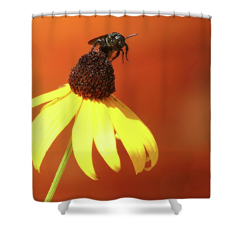 Flowers Shower Curtain featuring the photograph Ready for Take Off by Trina Ansel