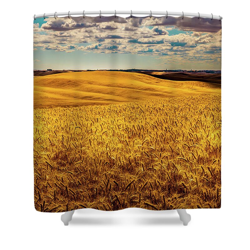 Ready To Harvest Shower Curtain featuring the photograph Ready to Harvest by David Patterson