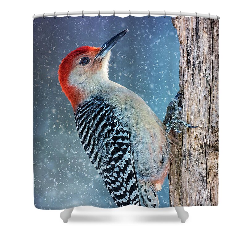 Tree Shower Curtain featuring the photograph Red-Belly Snowy Tree by Bill and Linda Tiepelman