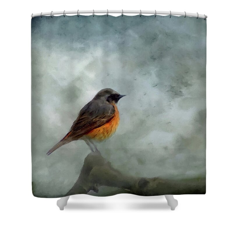 Red Bird Shower Curtain featuring the mixed media Red Breast Bird At Dawn Following the Storm by David Dehner