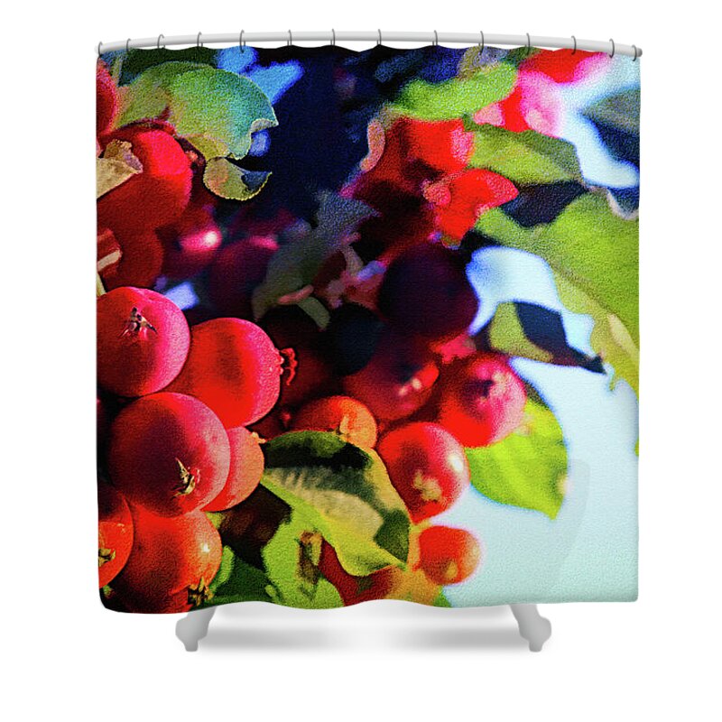 Red Shower Curtain featuring the photograph Red Crab Apples by Tatiana Travelways