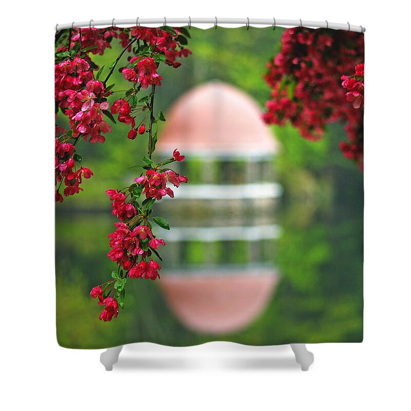 Red Dogwood Shower Curtain featuring the photograph Red Dogwood Blossoms by Lisa Cuipa